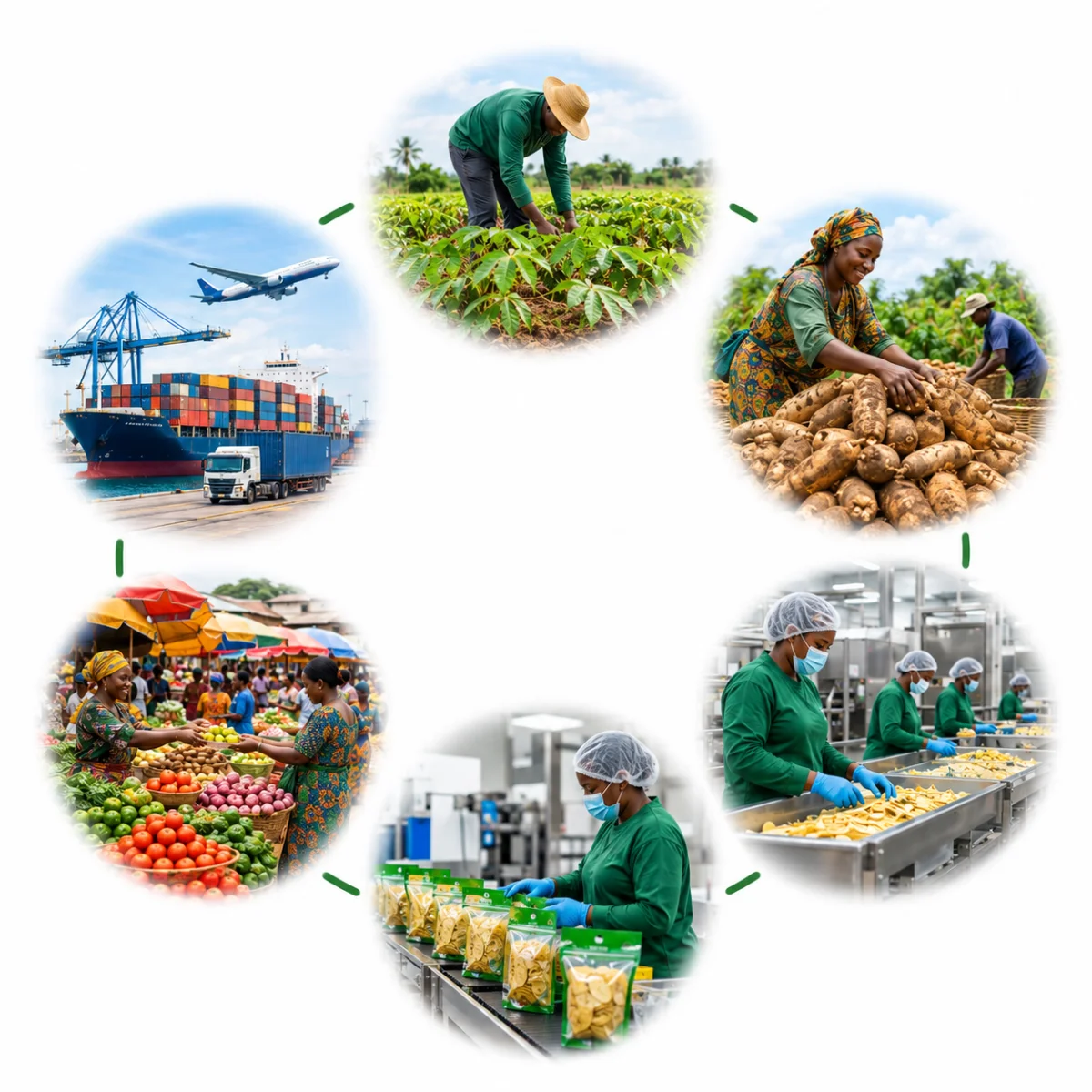 Agriculture at its best